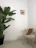 Photo of a minimalist wooden chair beside a small potted plant in a bright room.