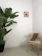 Photo of a minimalist wooden chair beside a small potted plant in a bright room.