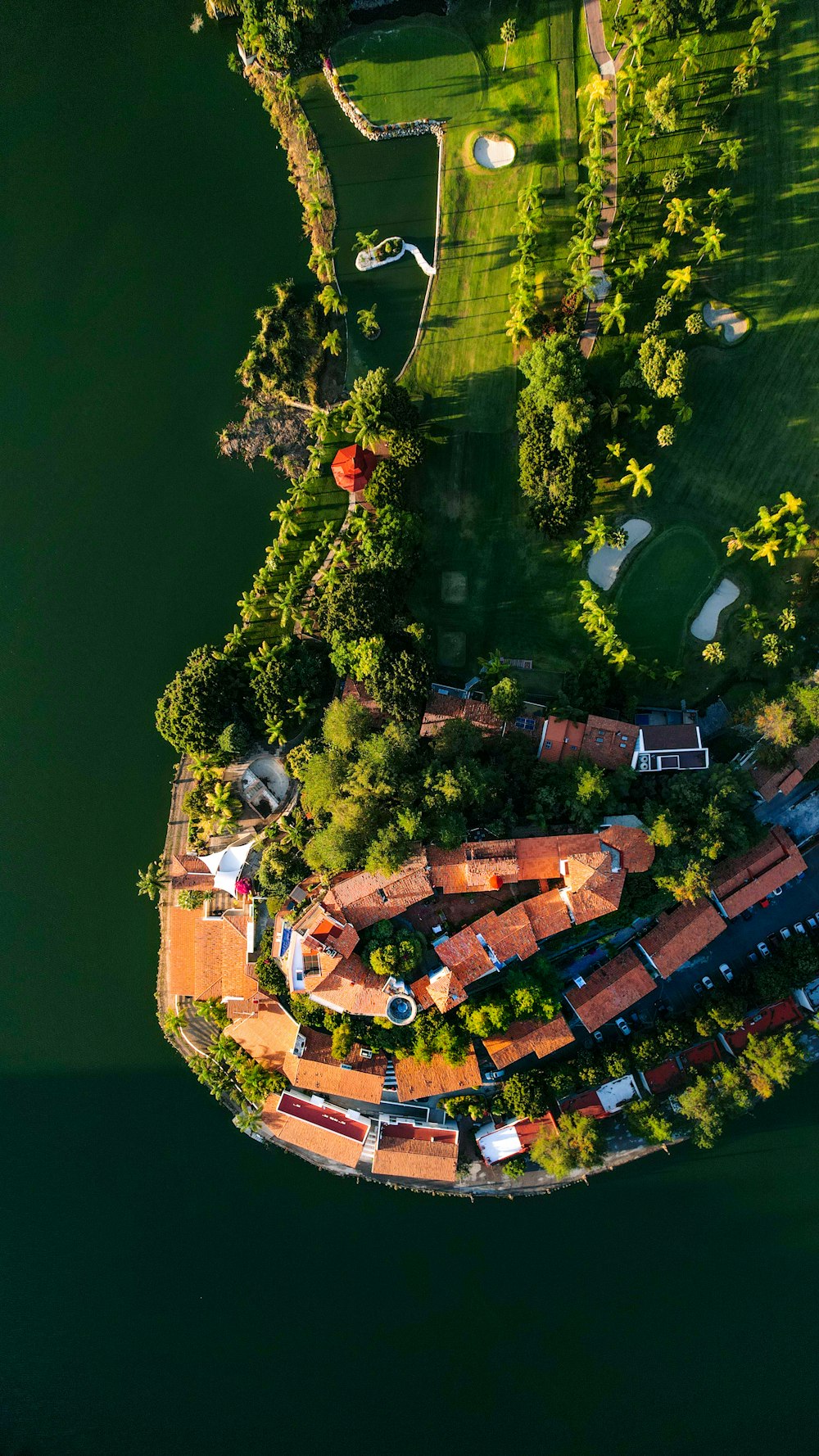 aerial view of houses near green trees and body of water during daytime