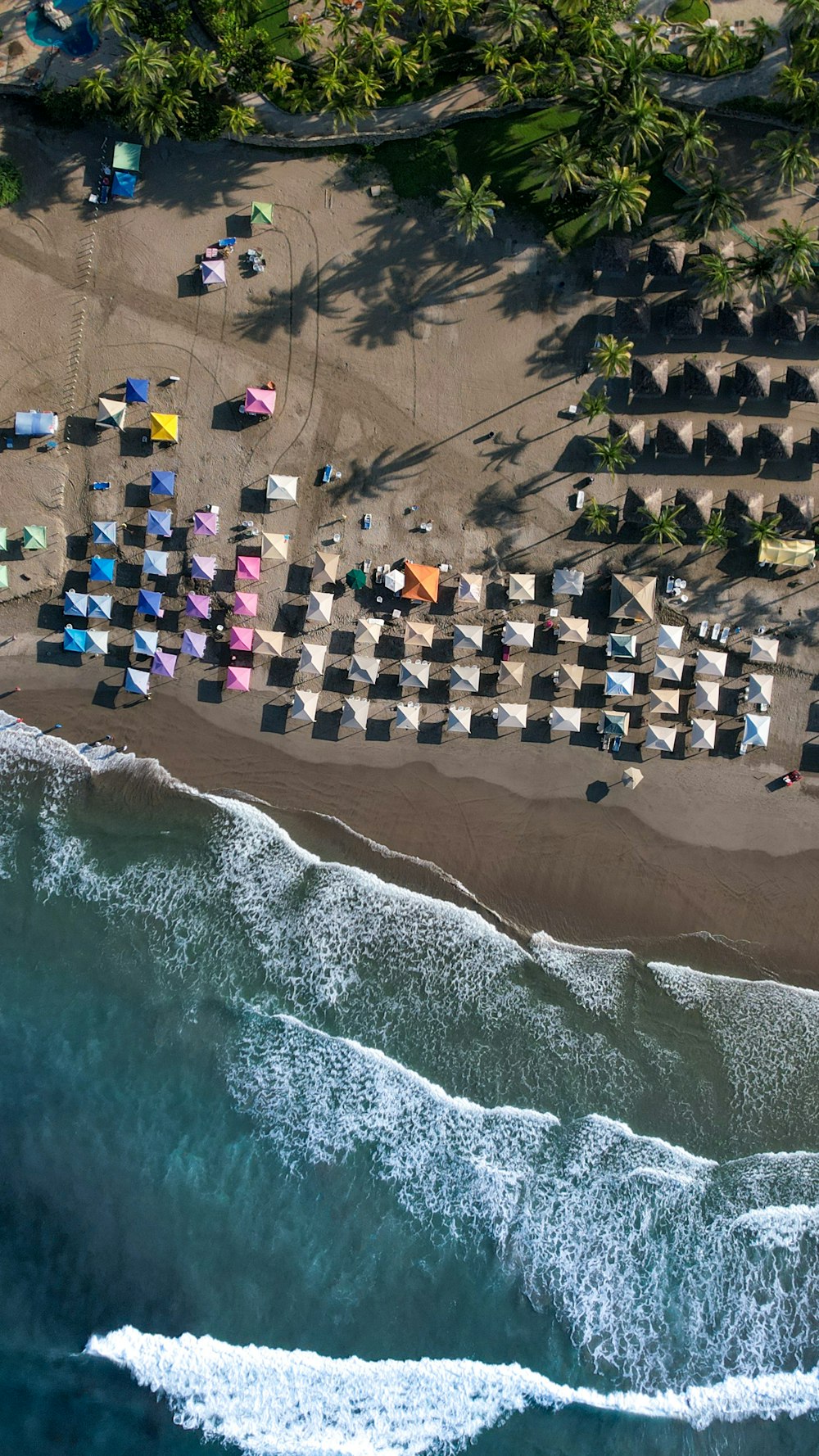 people on beach during daytime