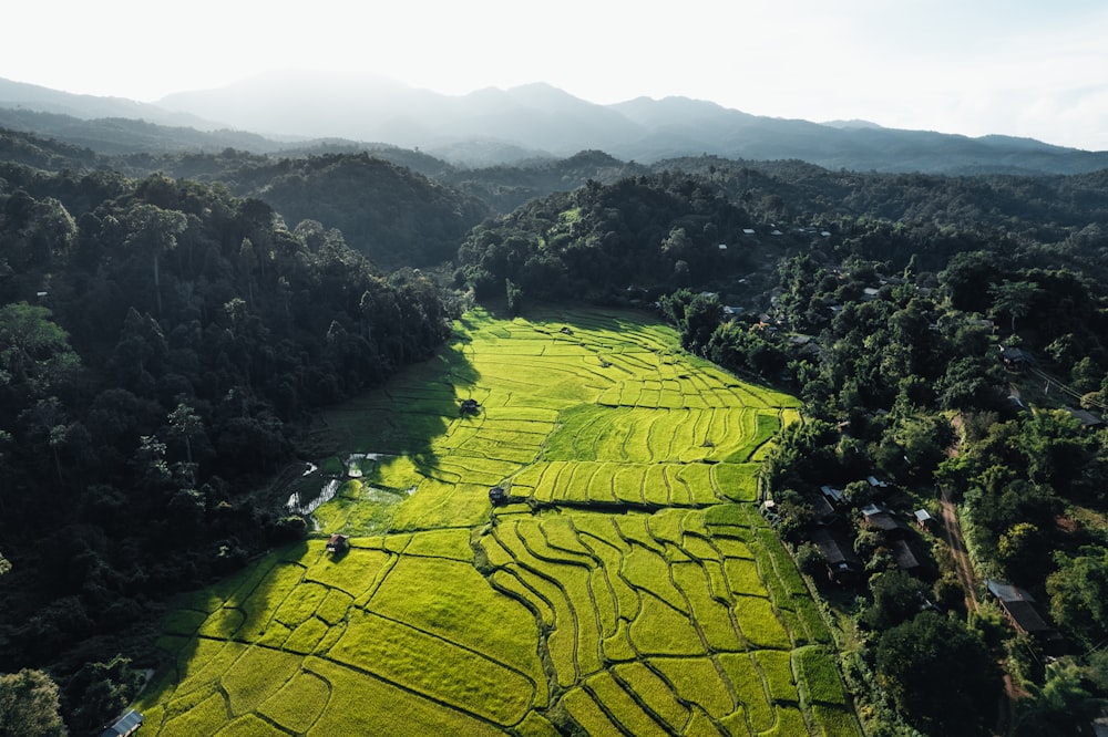 an aerial view of a rice field in the mountains