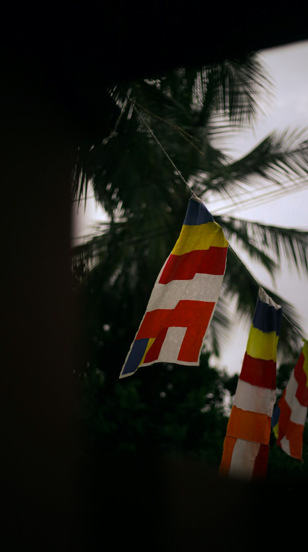 a group of flags hanging from a palm tree