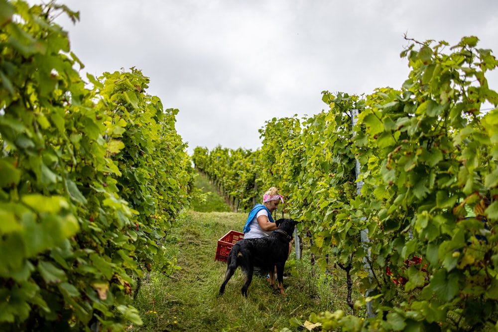 a woman and a child riding a horse through a vineyard