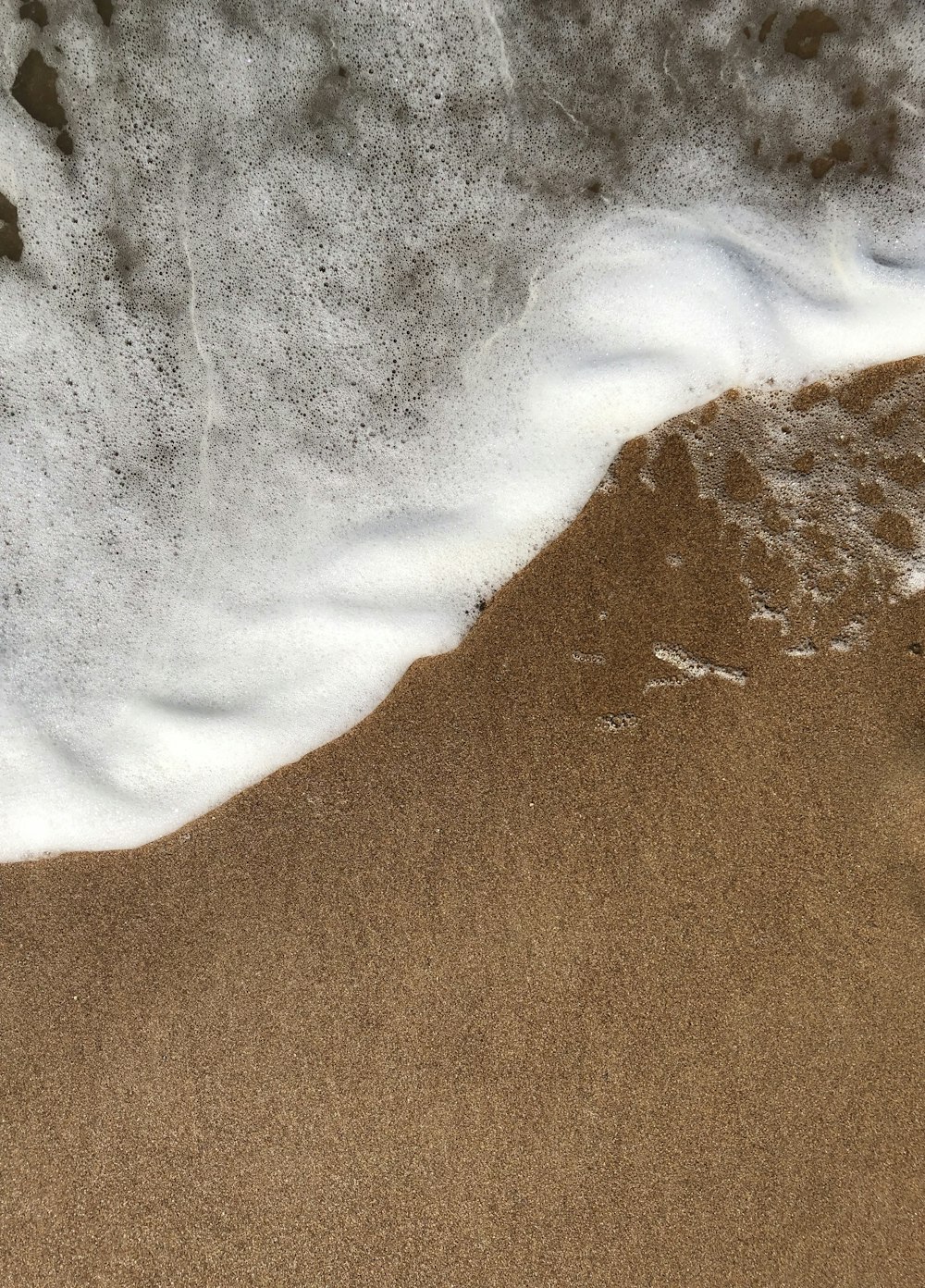 a bird is standing on the sand near the water