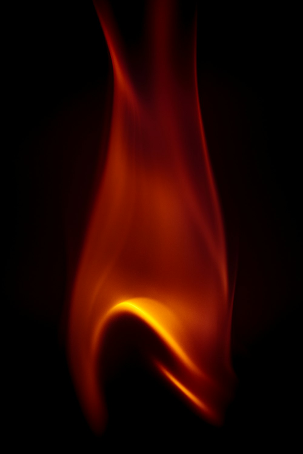 red and yellow fire illustration
