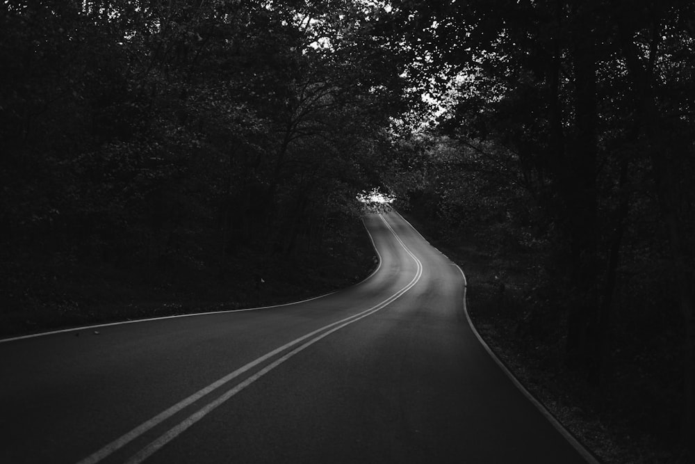 a black and white photo of a road in the woods