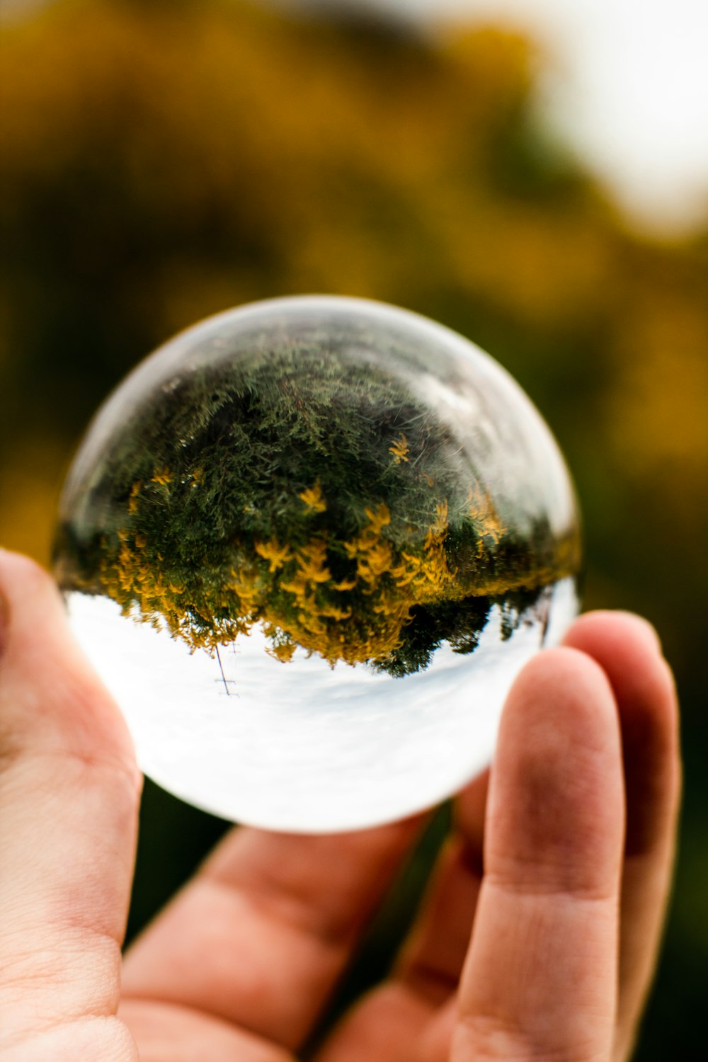 person holding clear glass ball