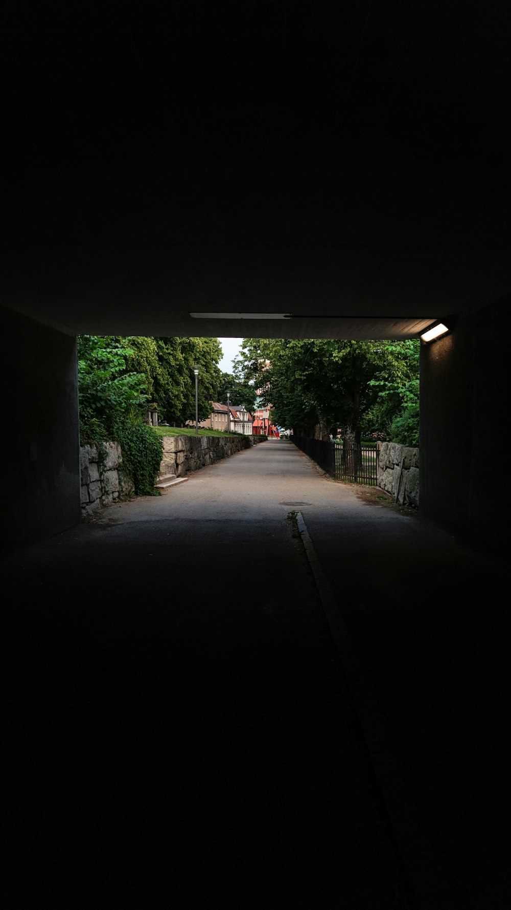 a dark tunnel leading into a park with trees