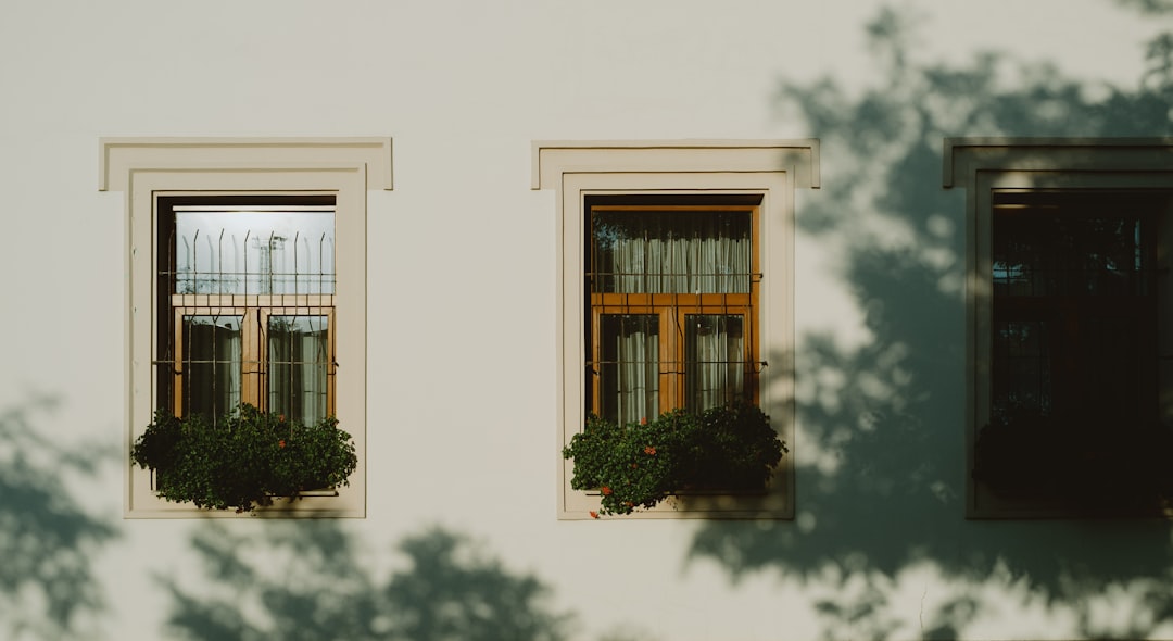 white concrete building with green plants