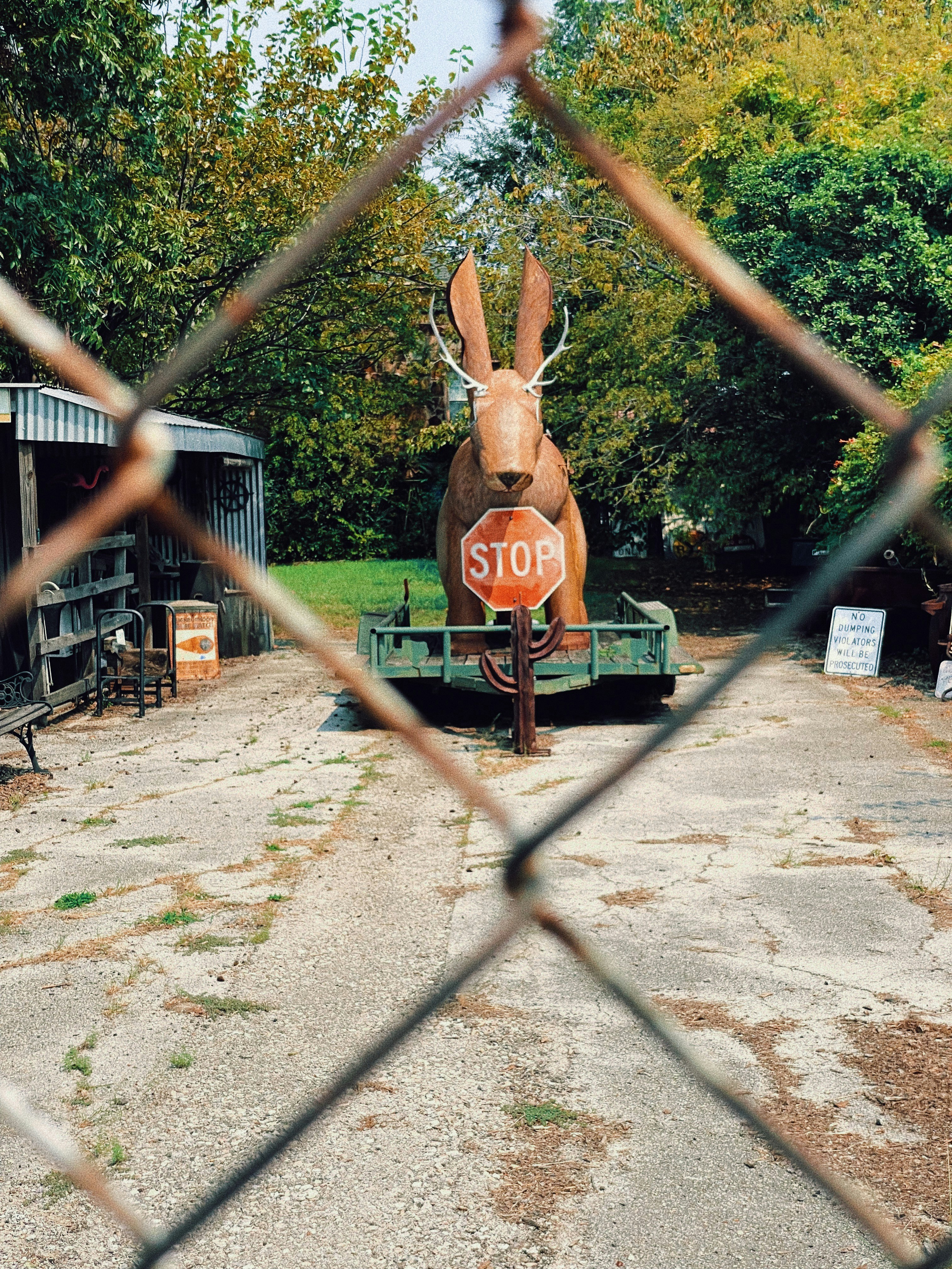 a picture of a stop sign with a bunny on it