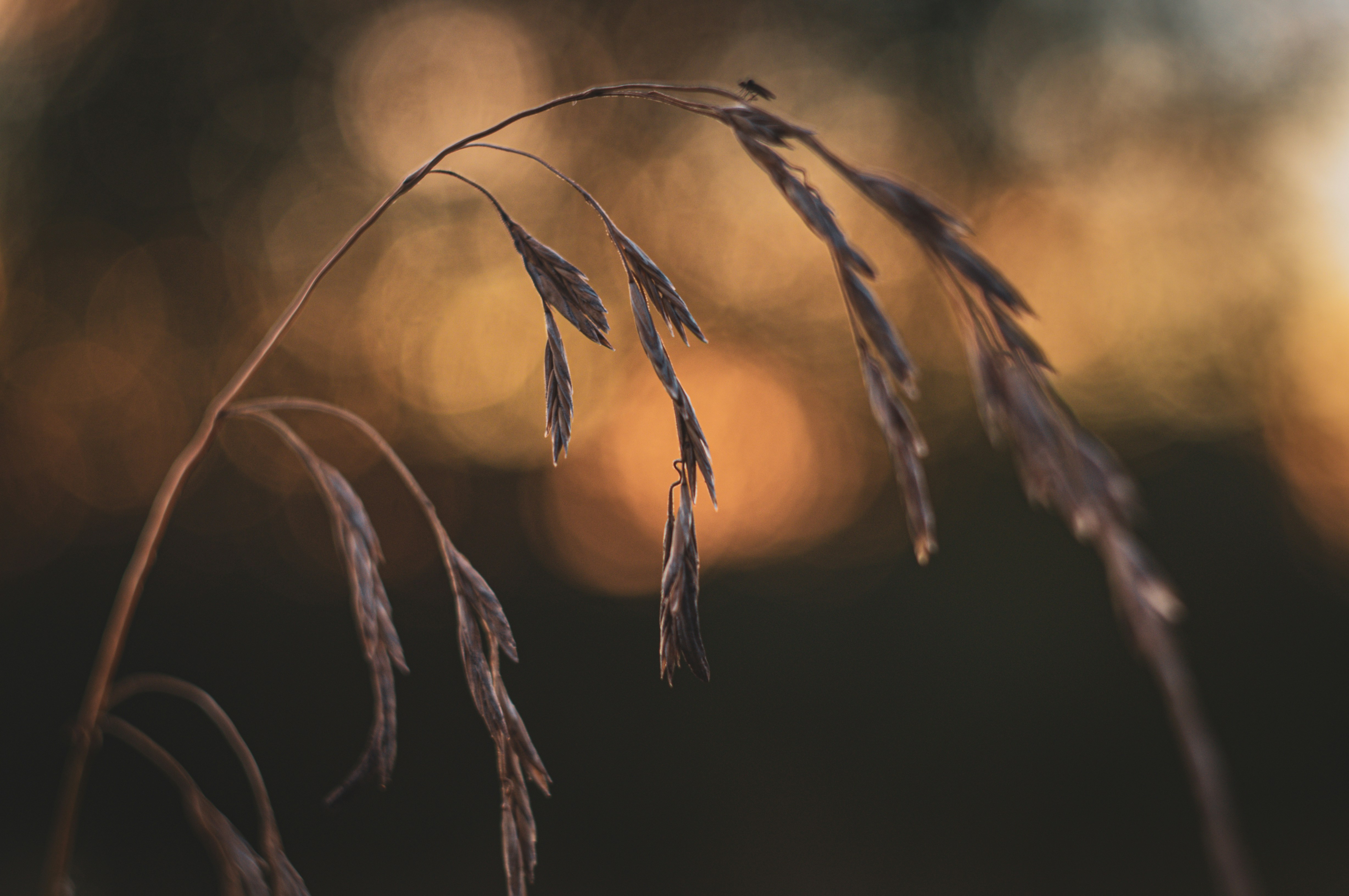 Photo by andrey_sinus