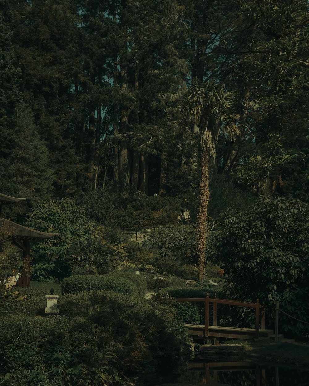 a wooden bench sitting in the middle of a forest