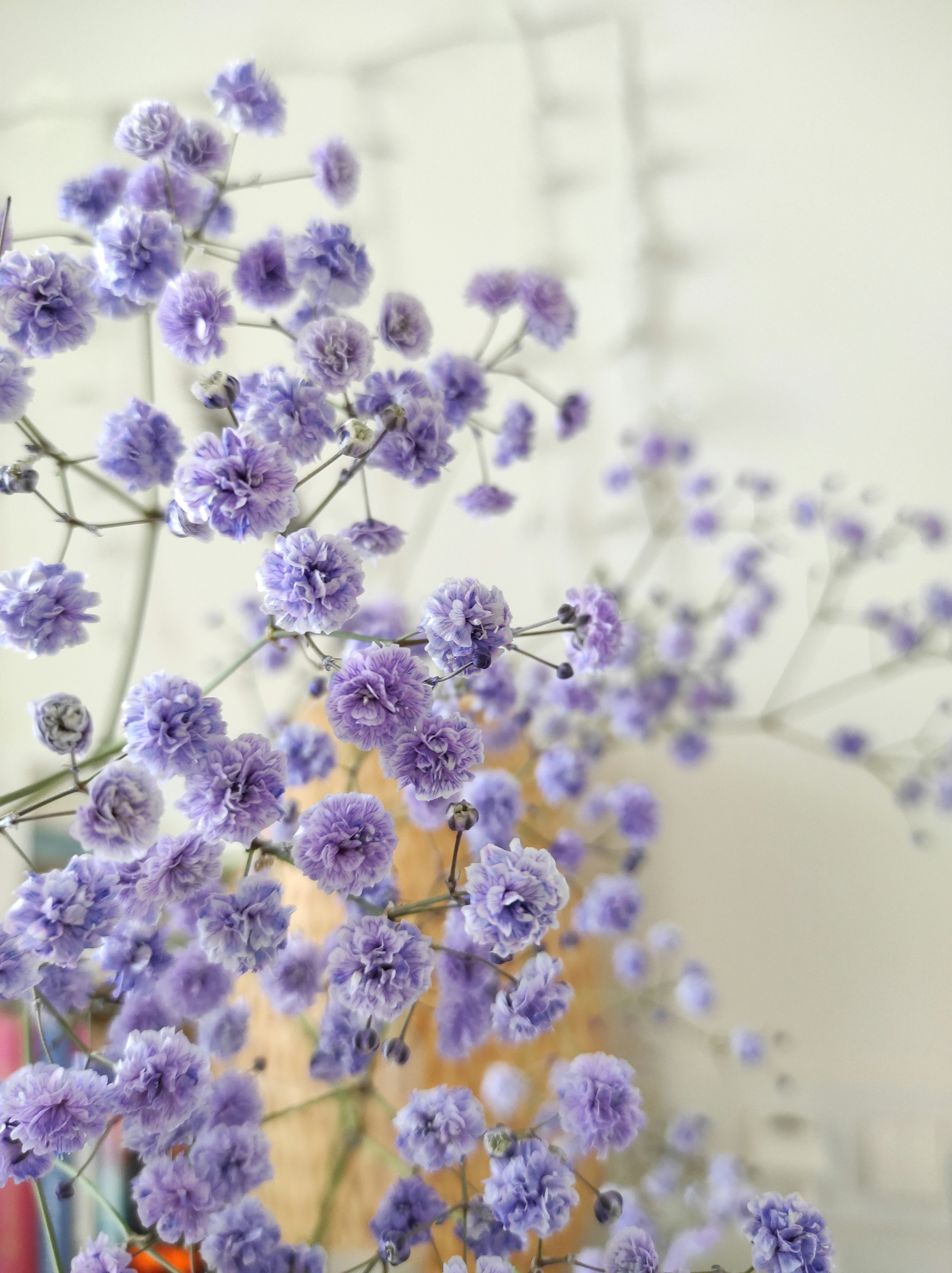 Photo by alesenevich