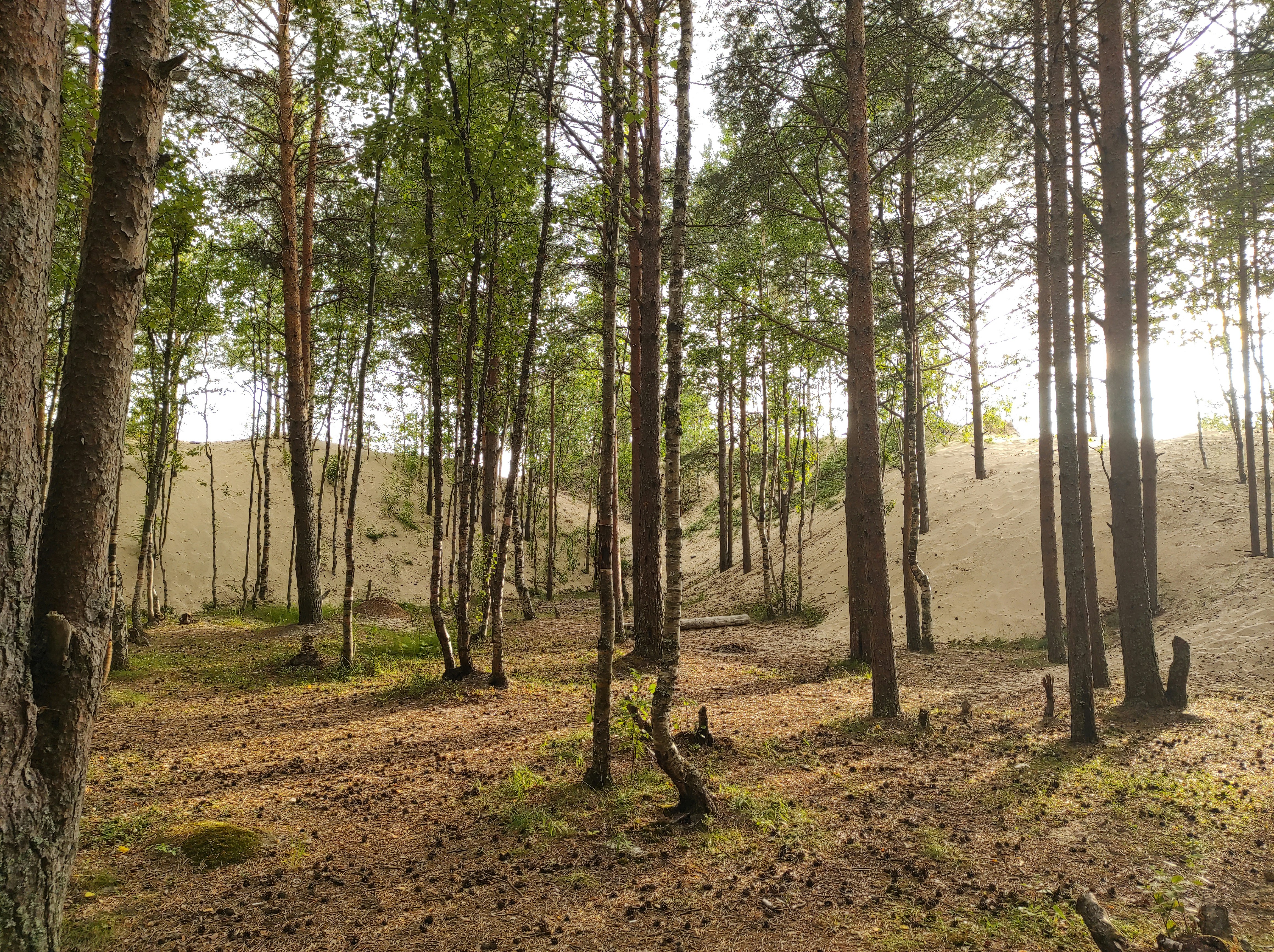 Photo by alesenevich