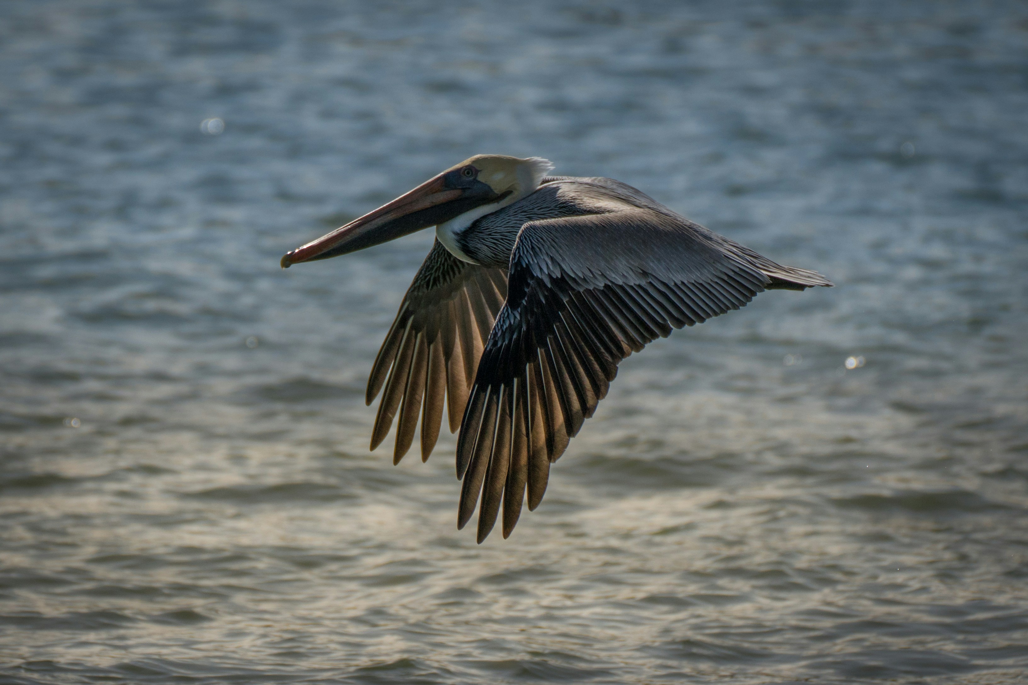 2 Must-Attend April 2026 Events in St. Petersburg, Florida