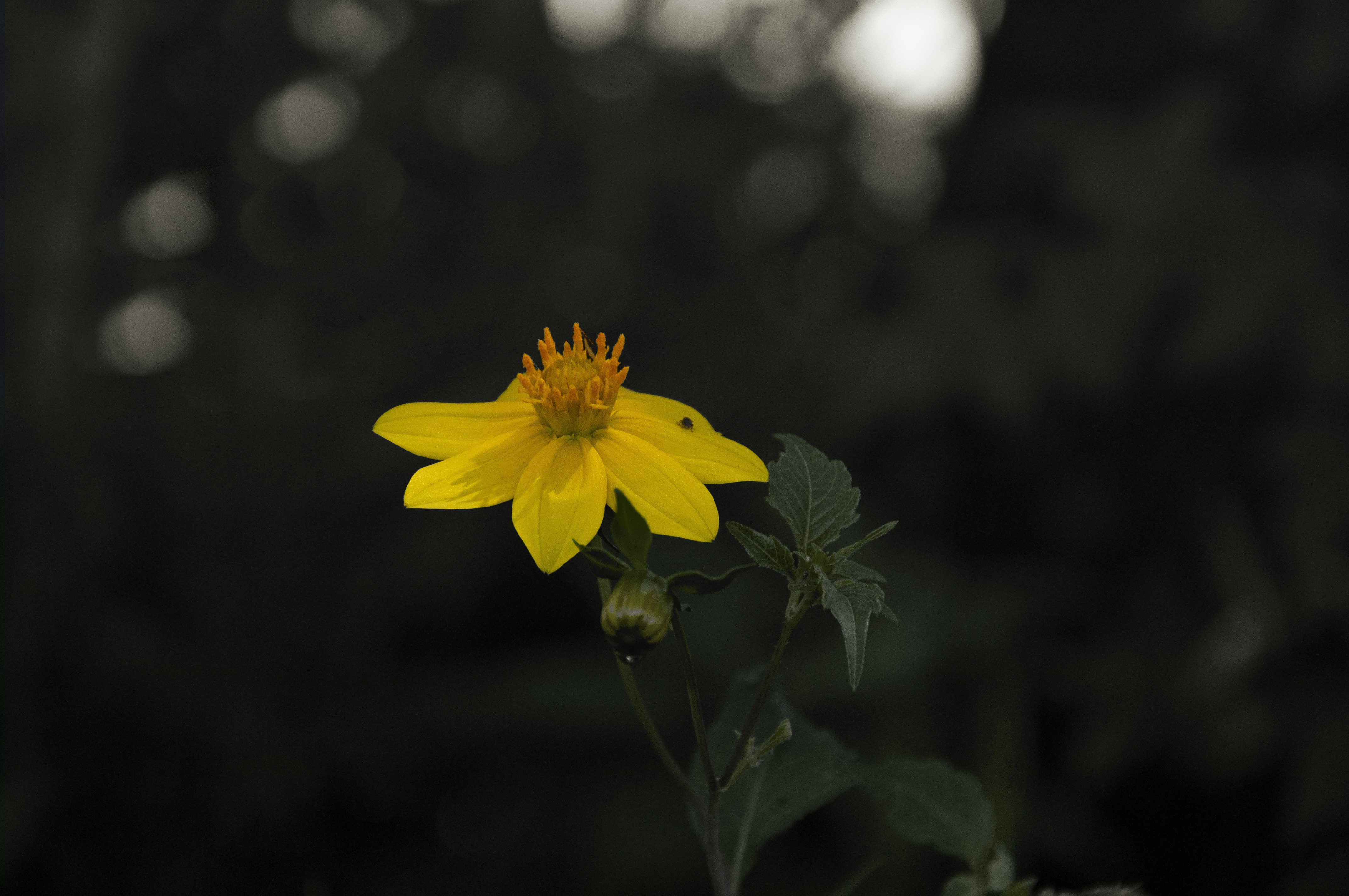 Photo by abdiel_photography