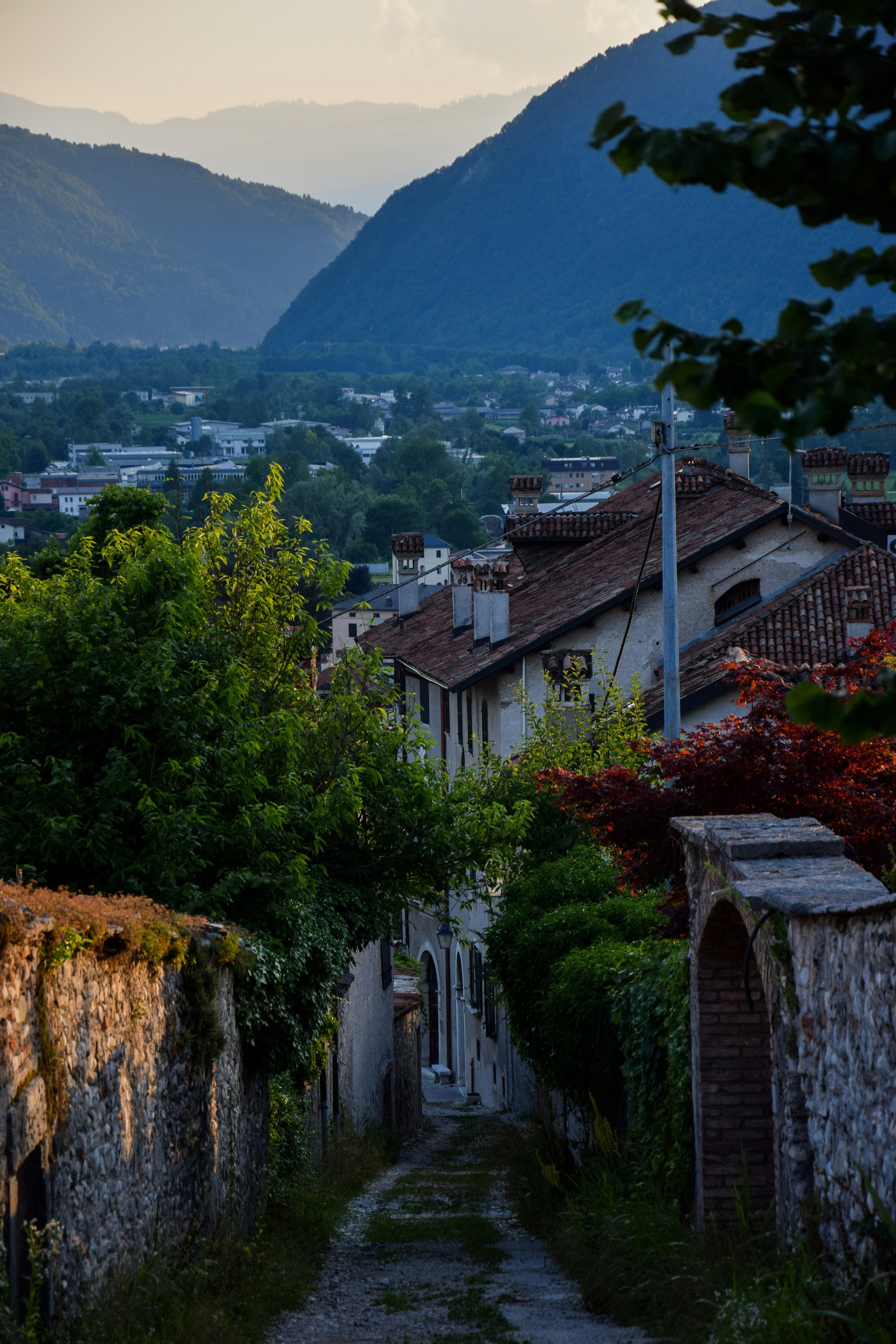 Photo by ricmarko
