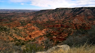 a scenic view of a valley with a mountain in the background