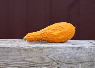 An orange gourd displayed on a piece of rustic, weathered wood in front of a dark red barn just in time for fall.