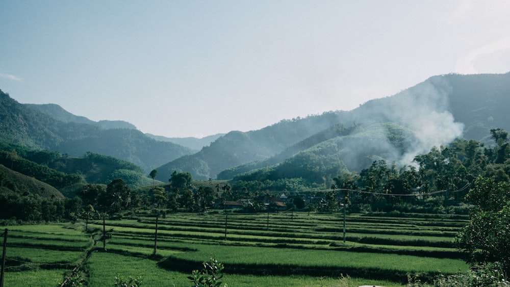 a lush green field with mountains in the background