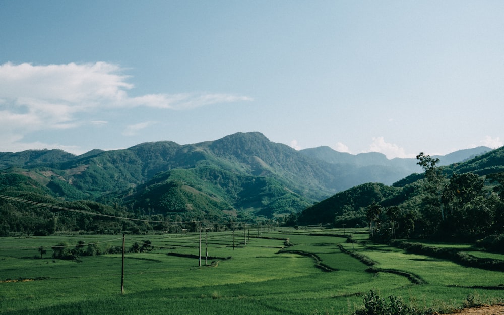 a lush green field with mountains in the background