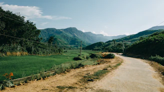 A rural landscape featuring farmland and mountains under a clear blue sky.