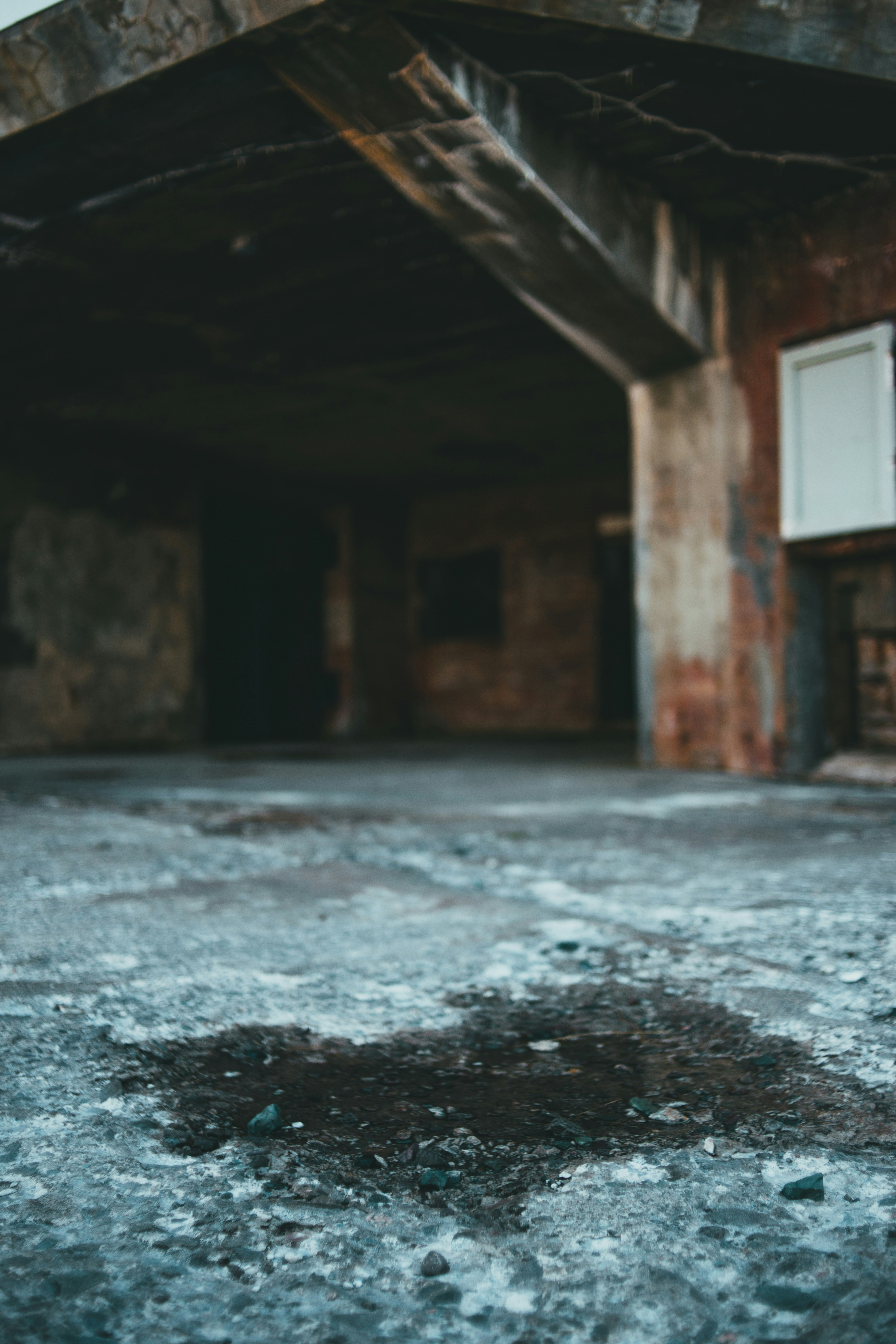 Photo by introspectivedsgn