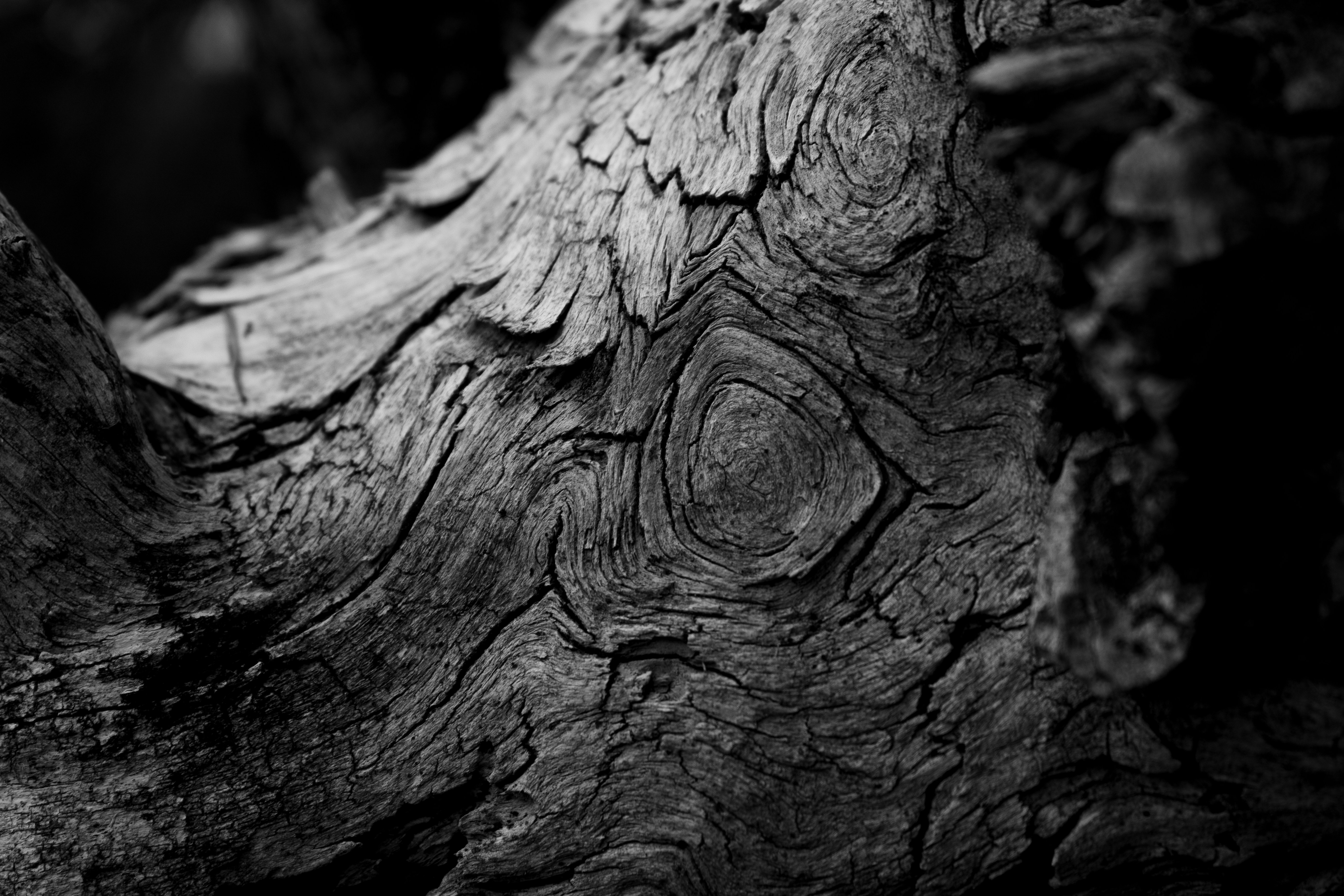 Photo by scott_griffin