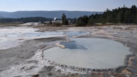 A geothermal area with steaming hot springs and geysers is surrounded by forested hills in the background. The landscape is dotted with pools that have a mineral-rich, blue-white hue, with a crusty, mineral-laden edge.