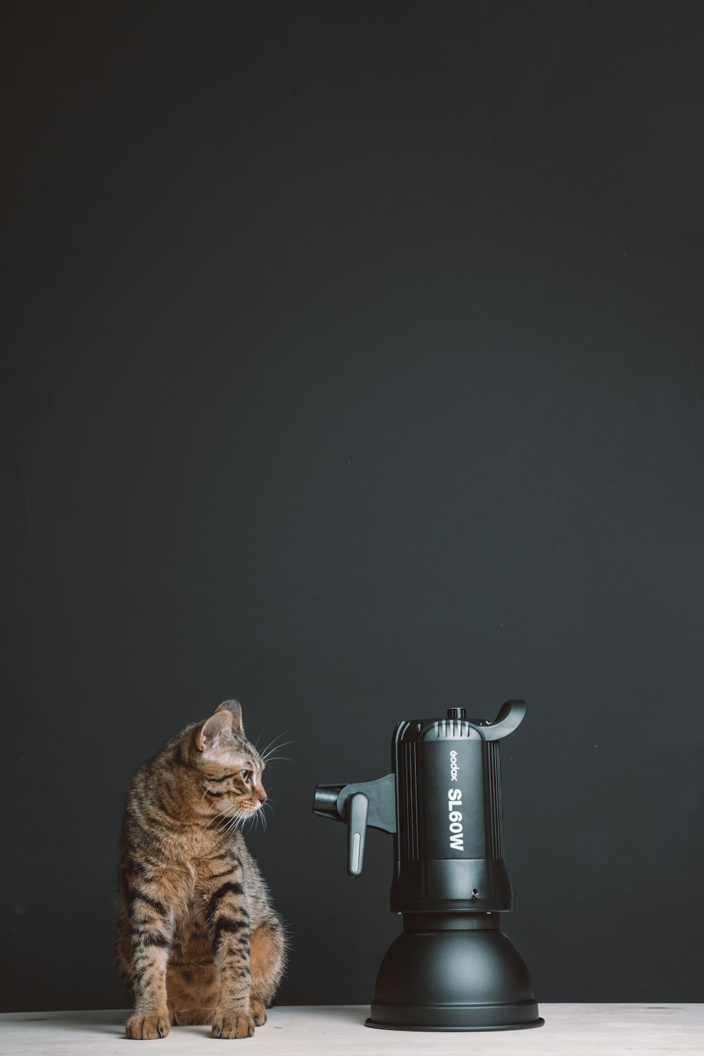 brown tabby cat on black and gray coffee maker