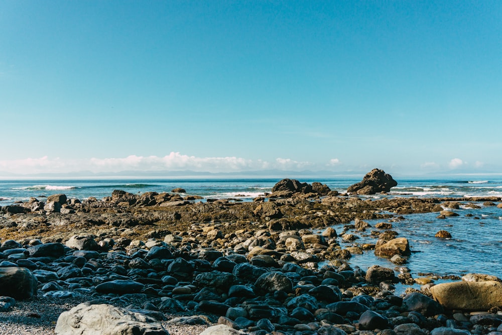 rocky shore under blue sky during daytime