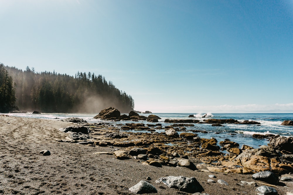 rocky shore with fog under blue sky during daytime