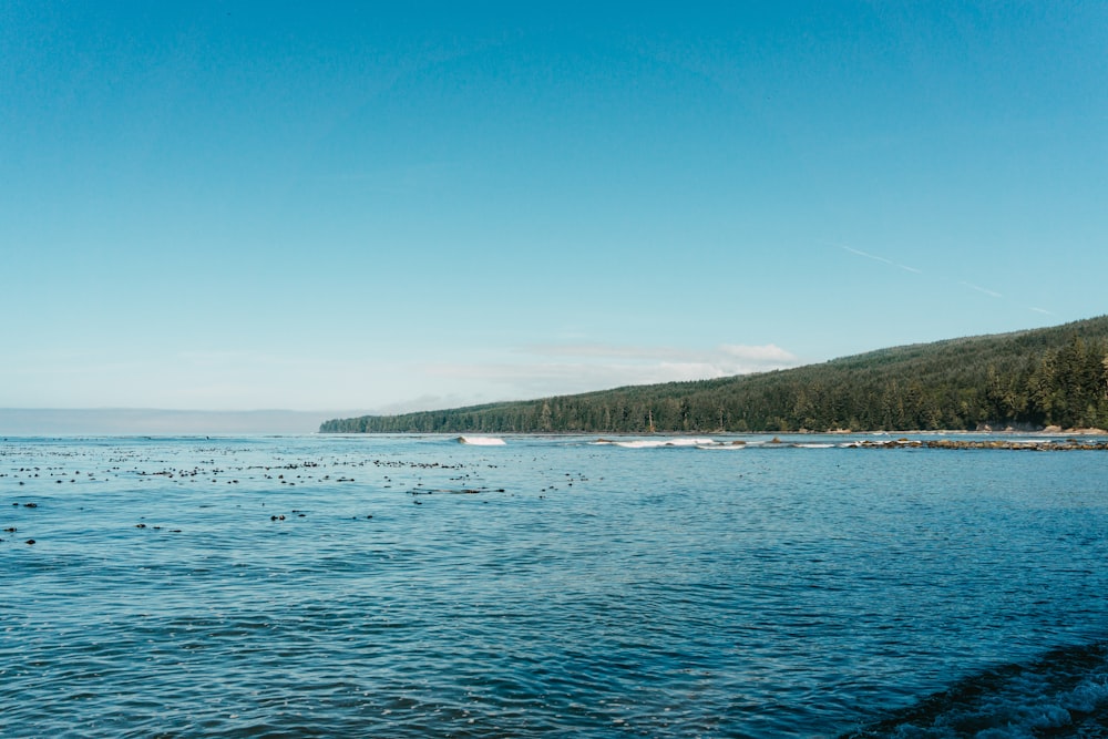 body of water near green mountain under blue sky during daytime