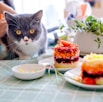 gray and white cat on green and white table cloth