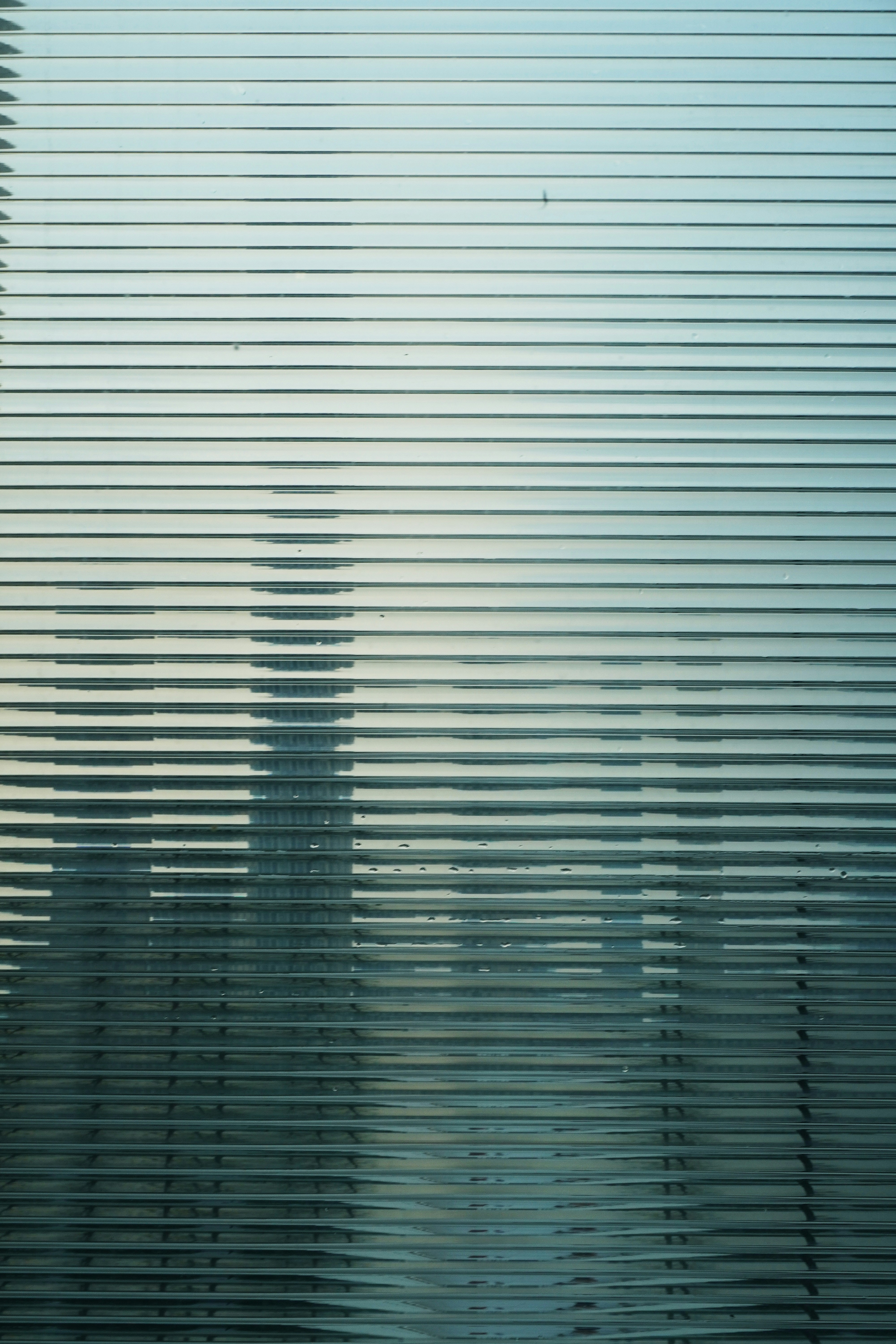 Photo by sakamotomari