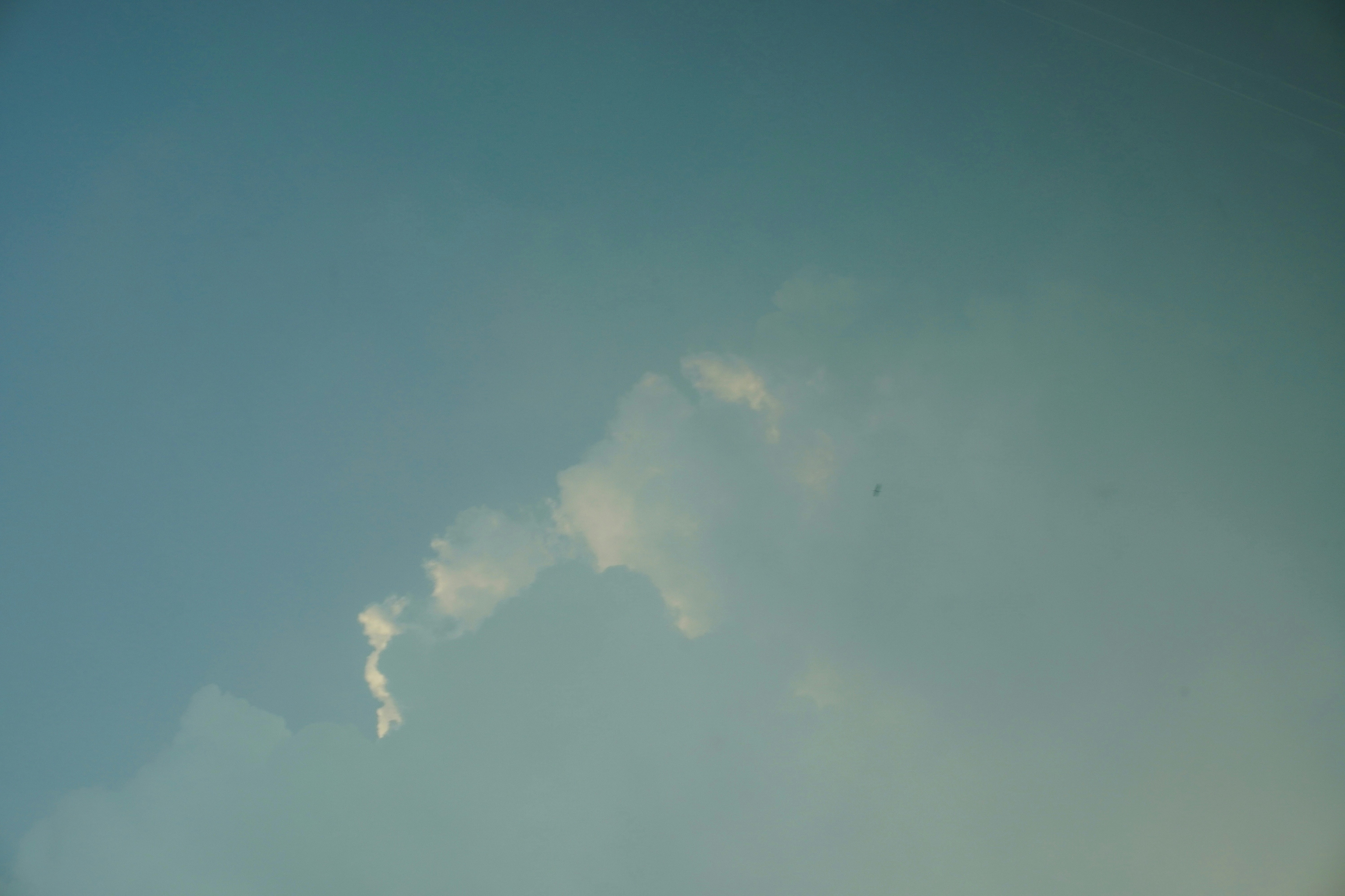 Photo by sakamotomari