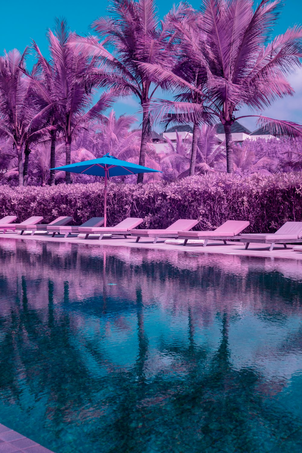 green trees beside body of water during daytime