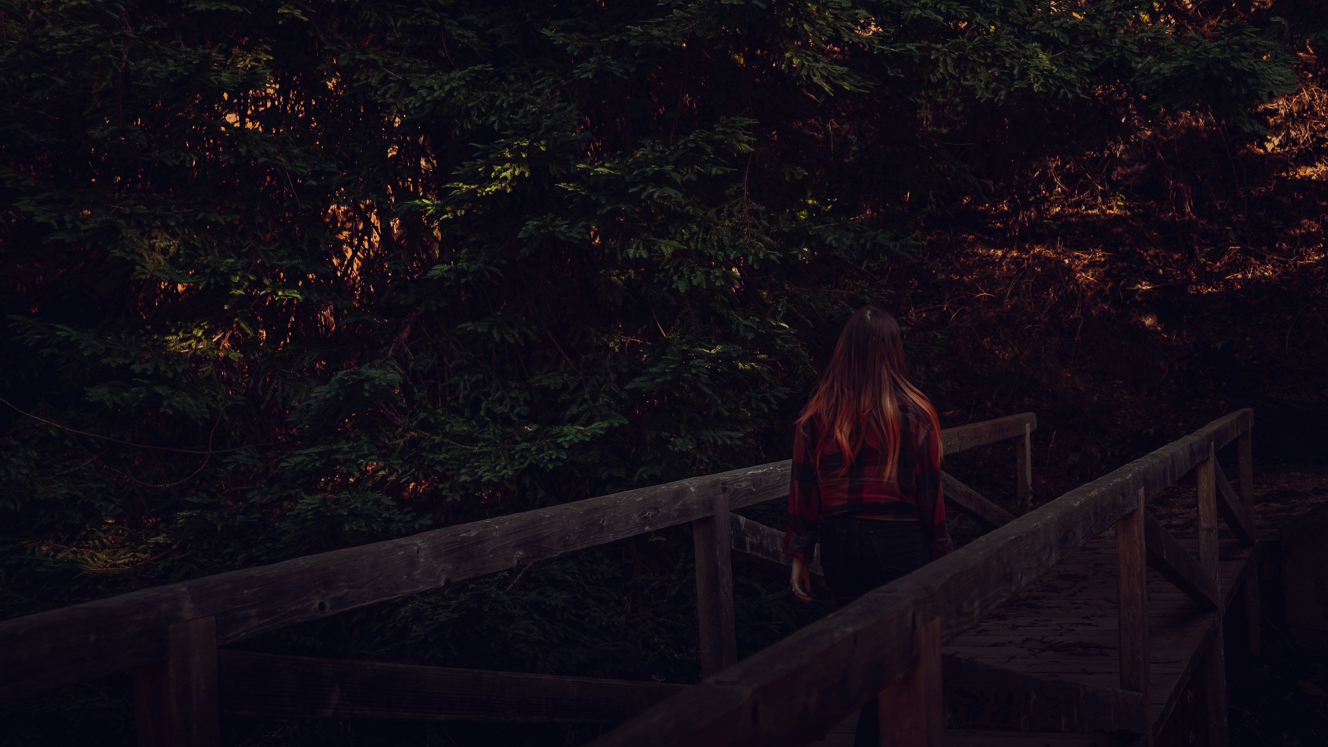 Photo by kalaniparker