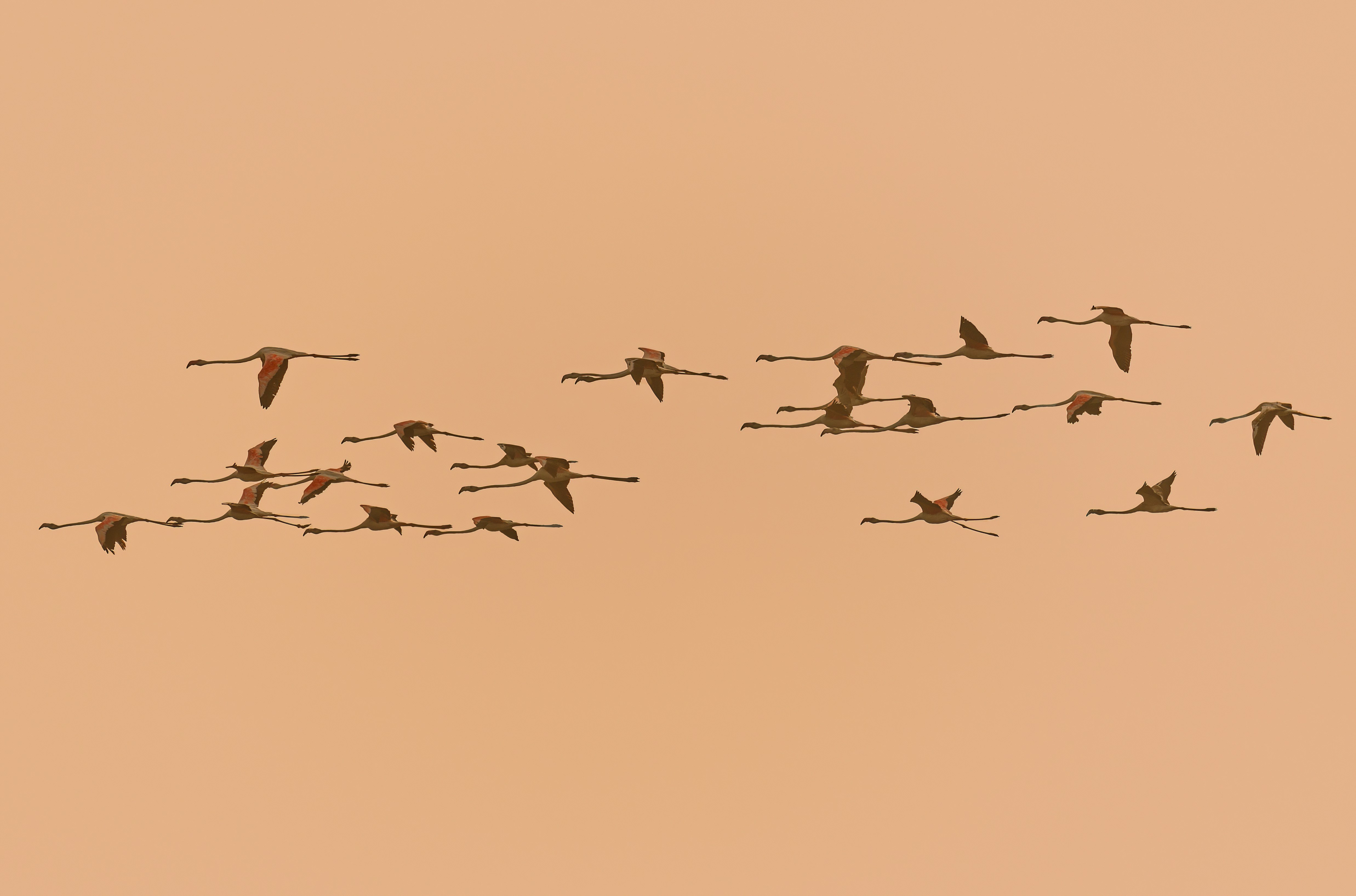 Photo by rajapraveen80