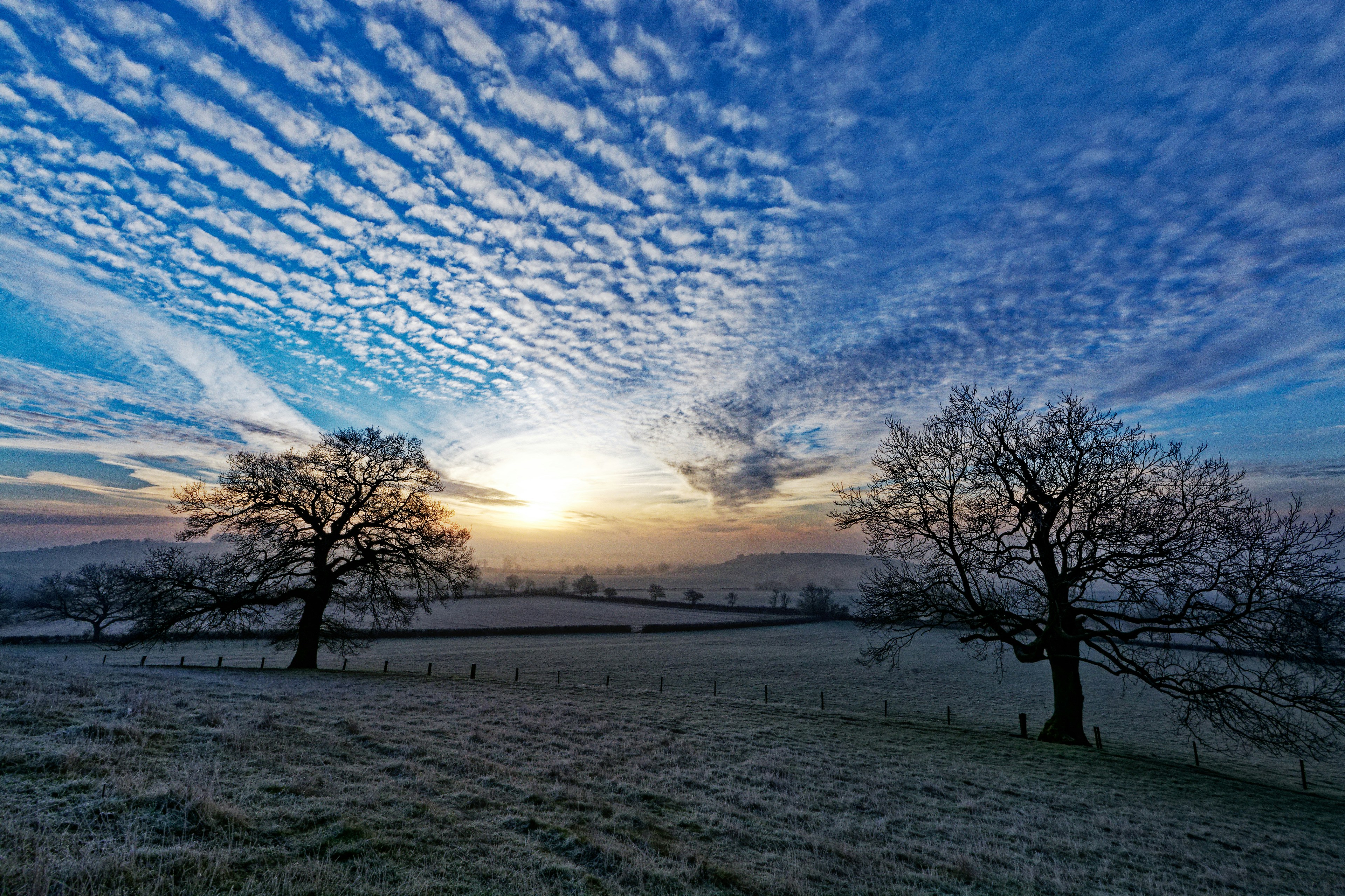 Photo by colinwatts