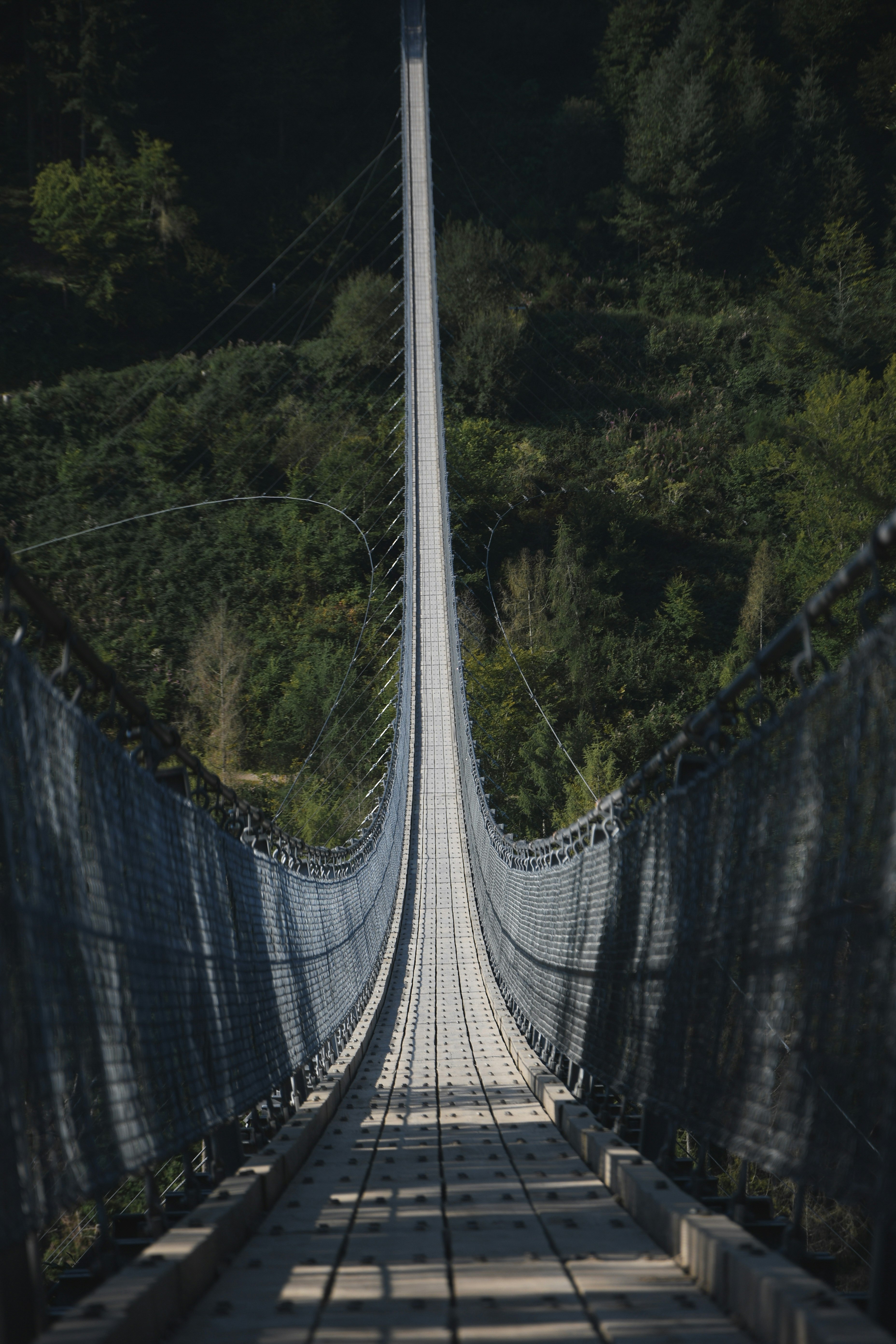 Geierlay suspension Bridge in Mörsdorf