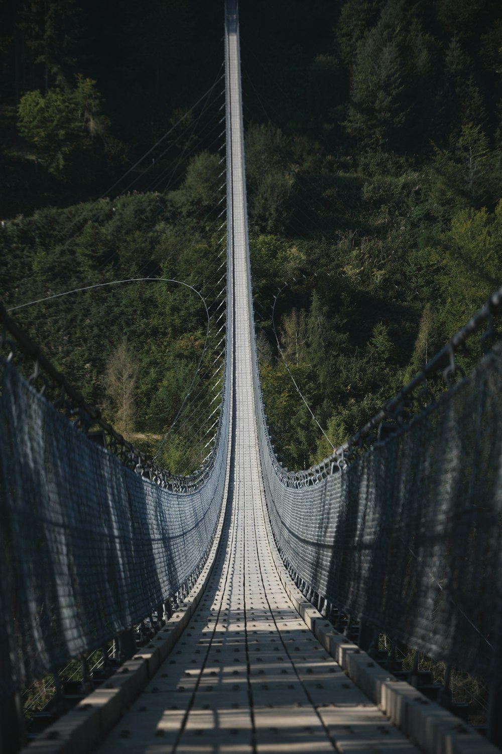 a long suspension bridge in the middle of a forest