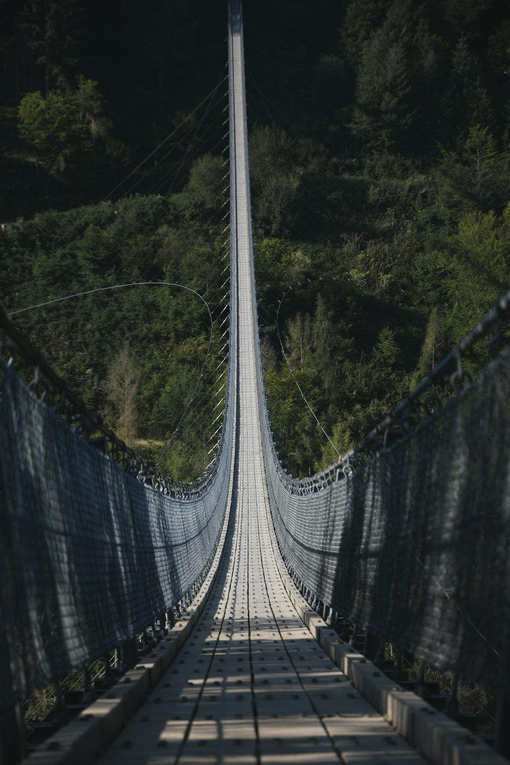 eine lange Hängebrücke mitten im Wald