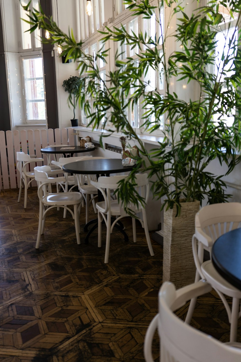 green potted plant on table