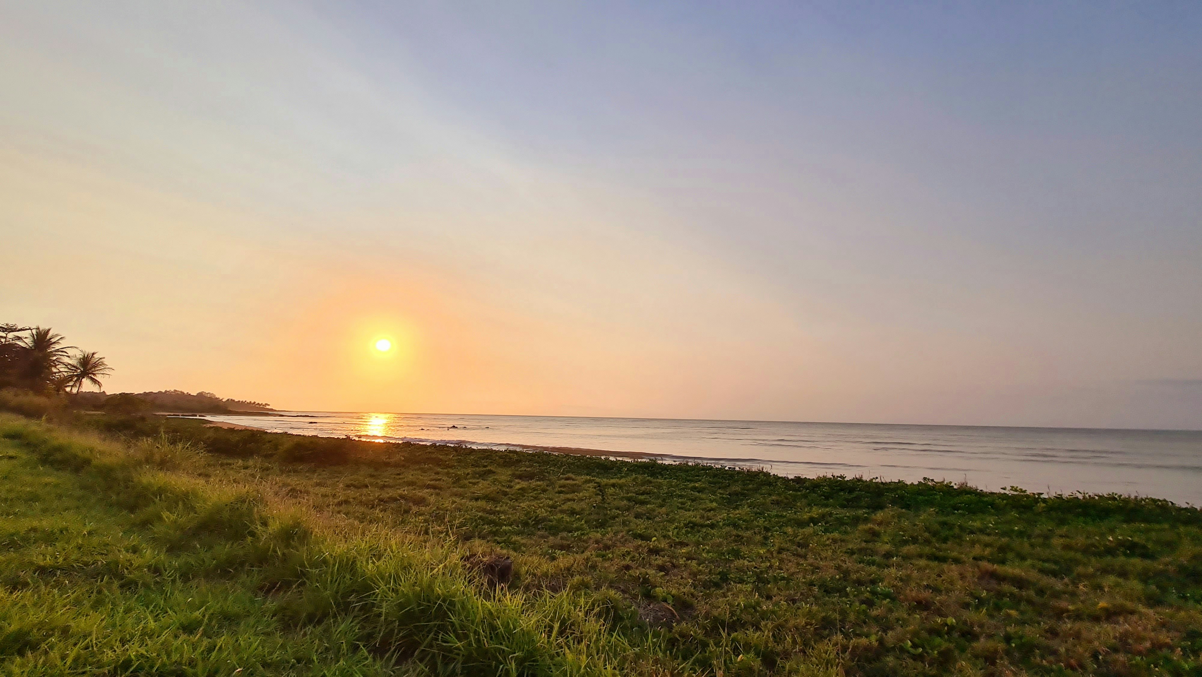 green grass field near sea during sunset