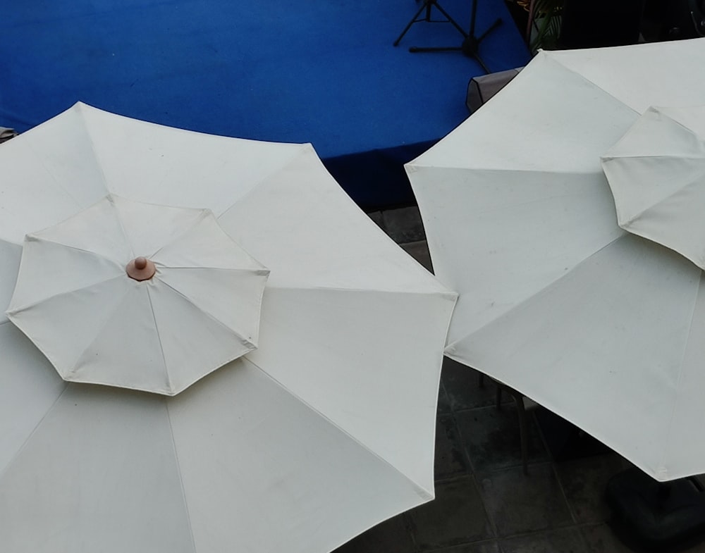 隣り合って座っている2つの白い傘