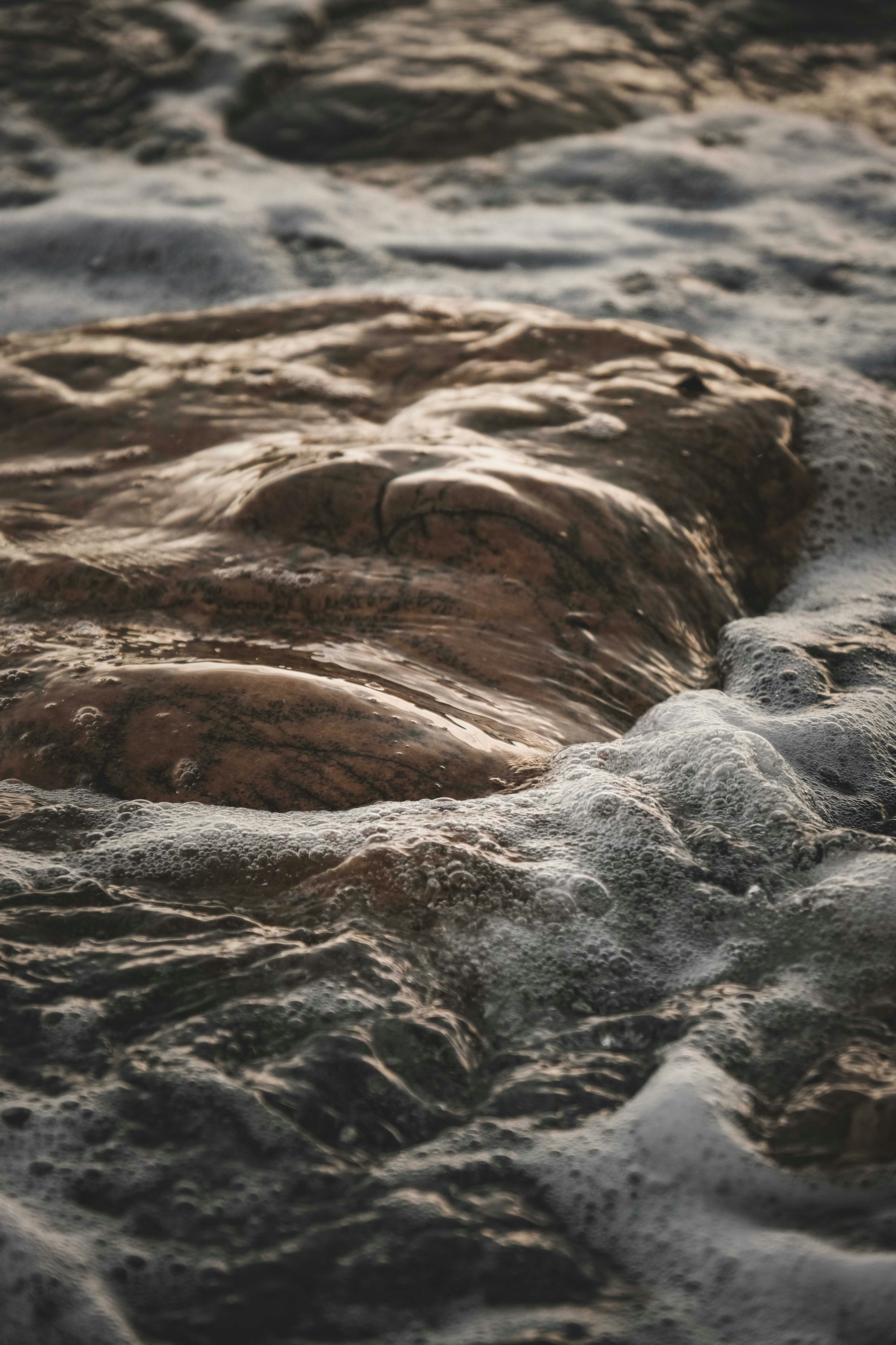 Photo by francesco_ungaro