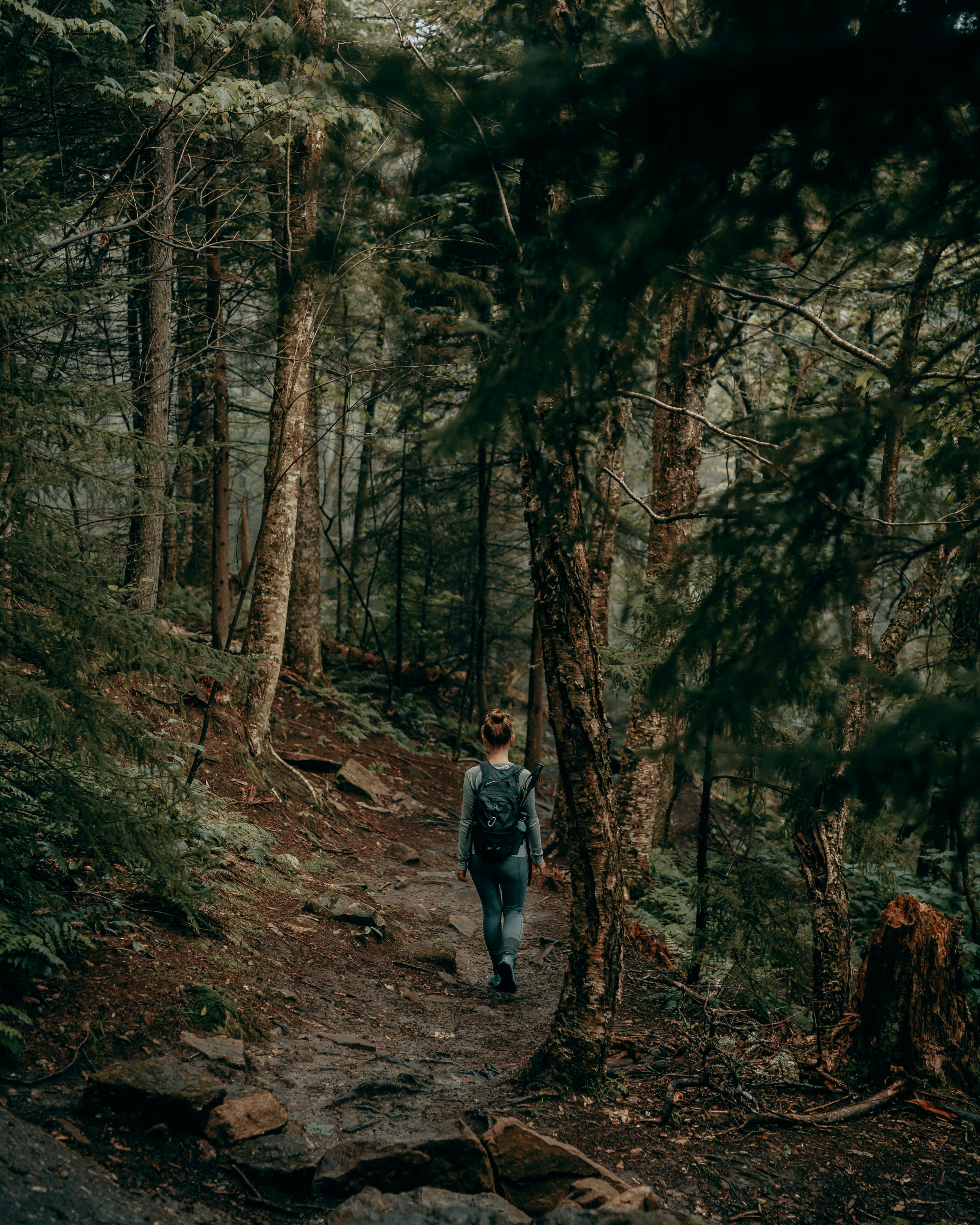 Exploring the Franconia Forest (IG: @clay.banks)
