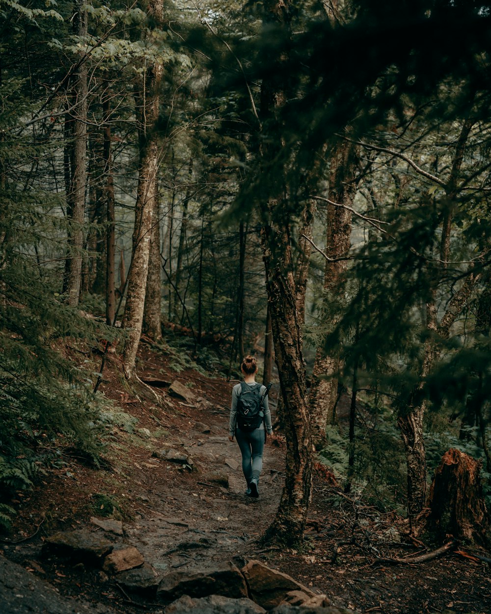 昼間の森を歩く灰色のジャケットを着た女性