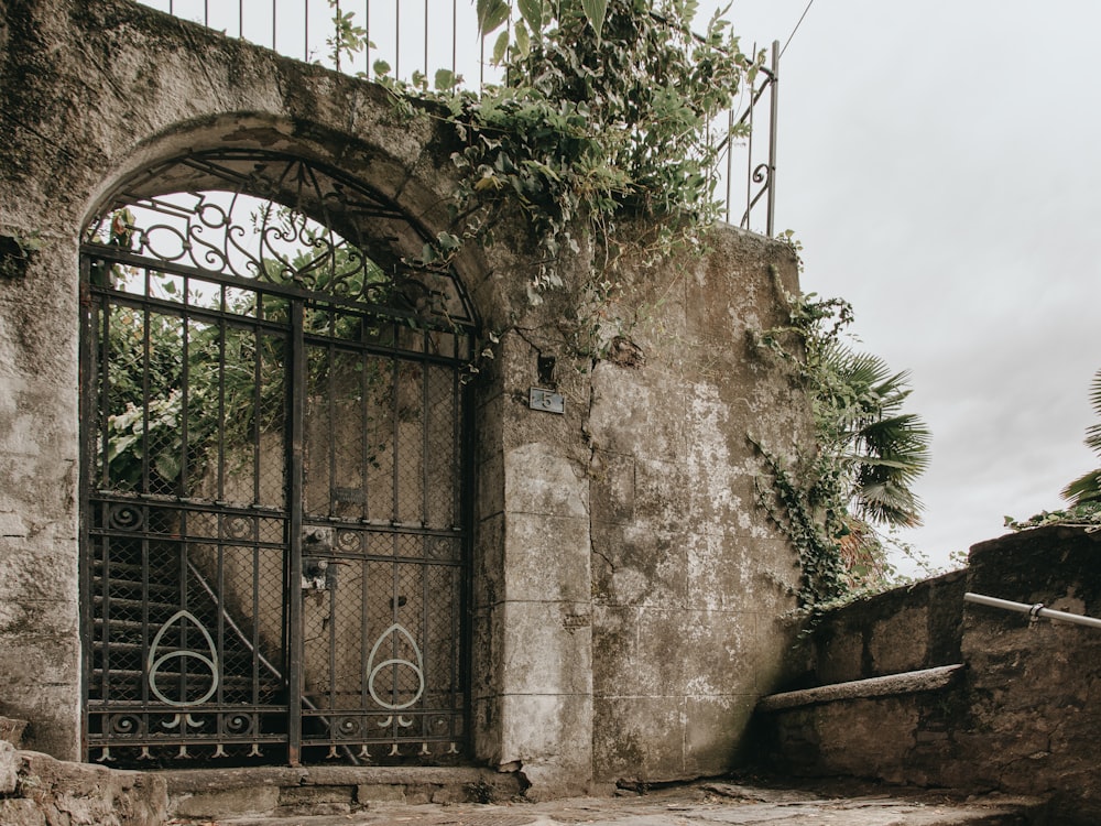 árvores verdes ao lado do edifício de concreto marrom durante o dia